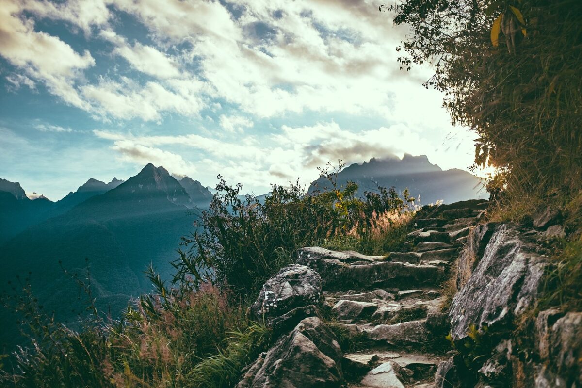 découvrez le concept intrigant de 'garden path', une expression qui désigne des phrases ou des situations qui initialement semblent claires, mais qui prennent un tournant surprenant et déroutant. plongez dans cet univers fascinant où les attentes sont révisées et les significations redéfinies.