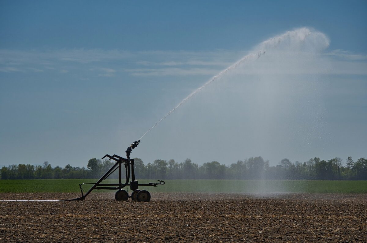 découvrez les avantages de l'irrigation automatique pour optimiser votre jardin. simplifiez votre entretien avec des systèmes intelligents qui garantissent une distribution efficace de l'eau, favorisant la croissance de vos plantes tout en réduisant la consommation d'eau.